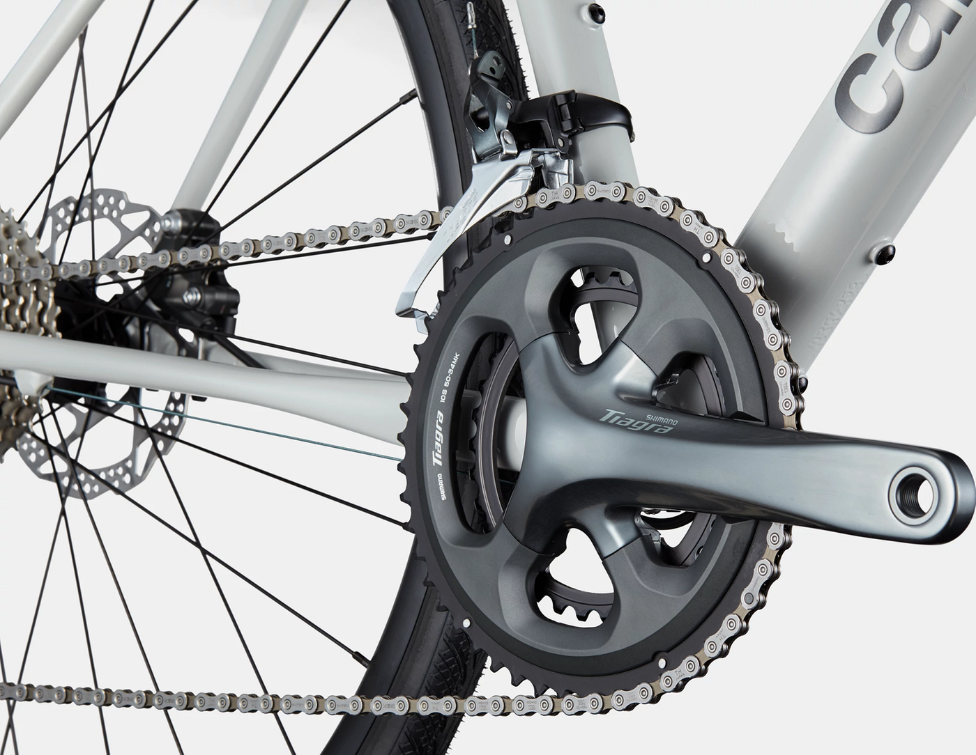 Synapse 2