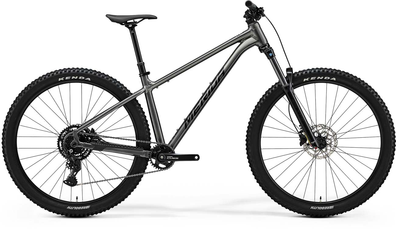 25 BIG TRAIL 300 II1