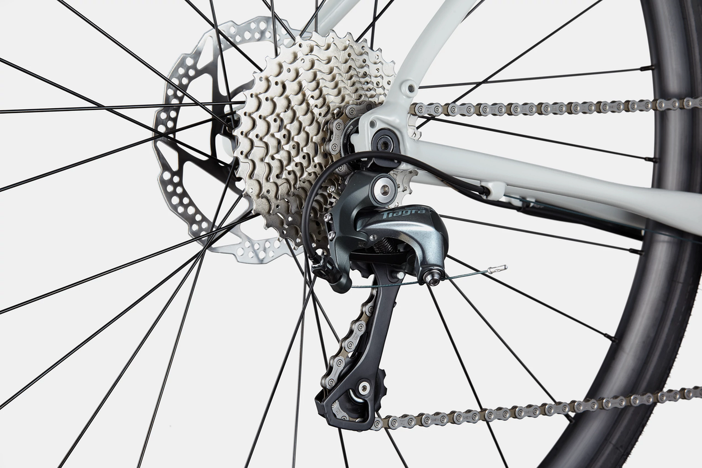 Synapse 2