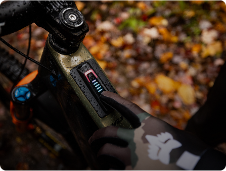 eBikes