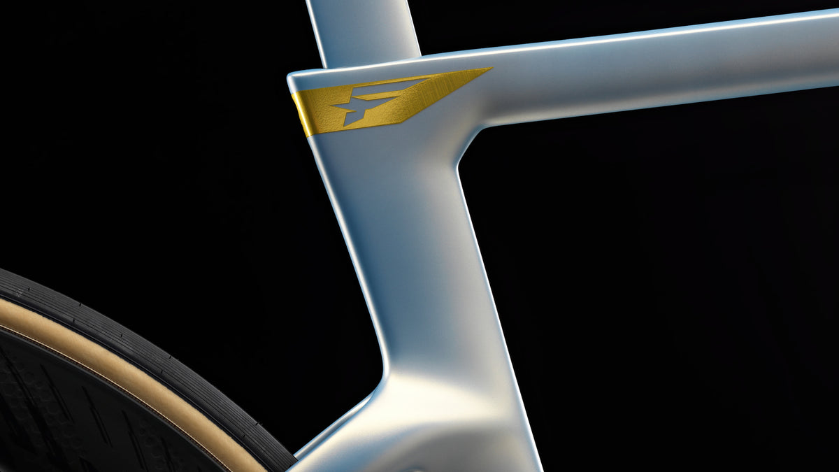 PINARLLO DOGMA F CJ011 Frame Kit Q36.5 TDF26