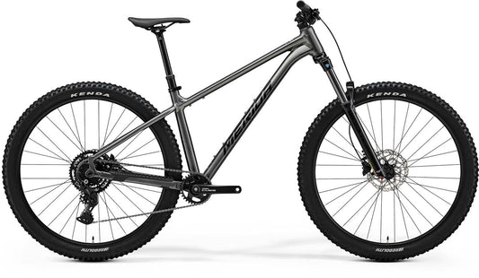 25 BIG TRAIL 300 II1