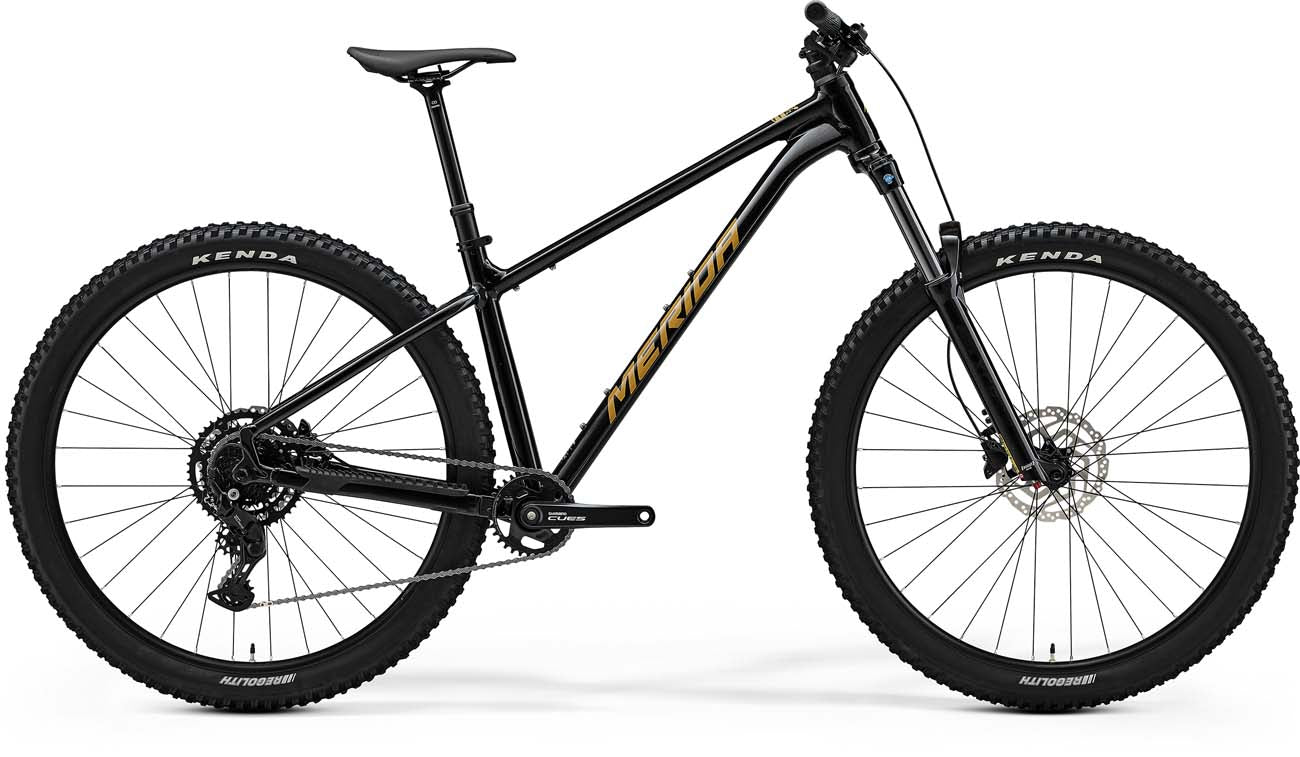 25 BIG TRAIL 300 II1