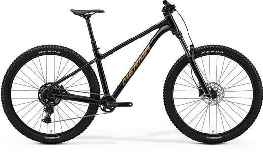 Big Trail 300 2026