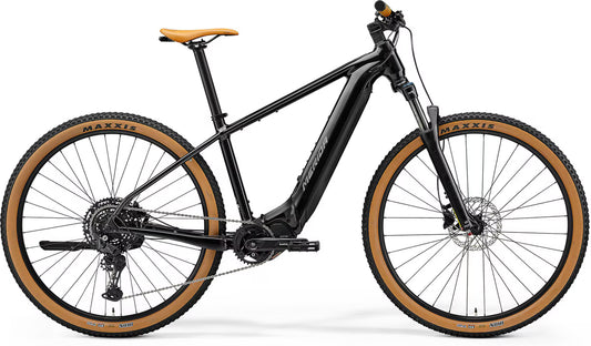 eBig.Nine 400  Electric Hardtail