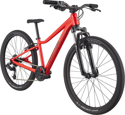 Kids Trail 24