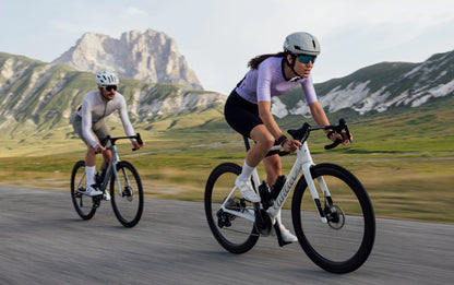 WILIER Filante SL ID2 F35 Stain Silver